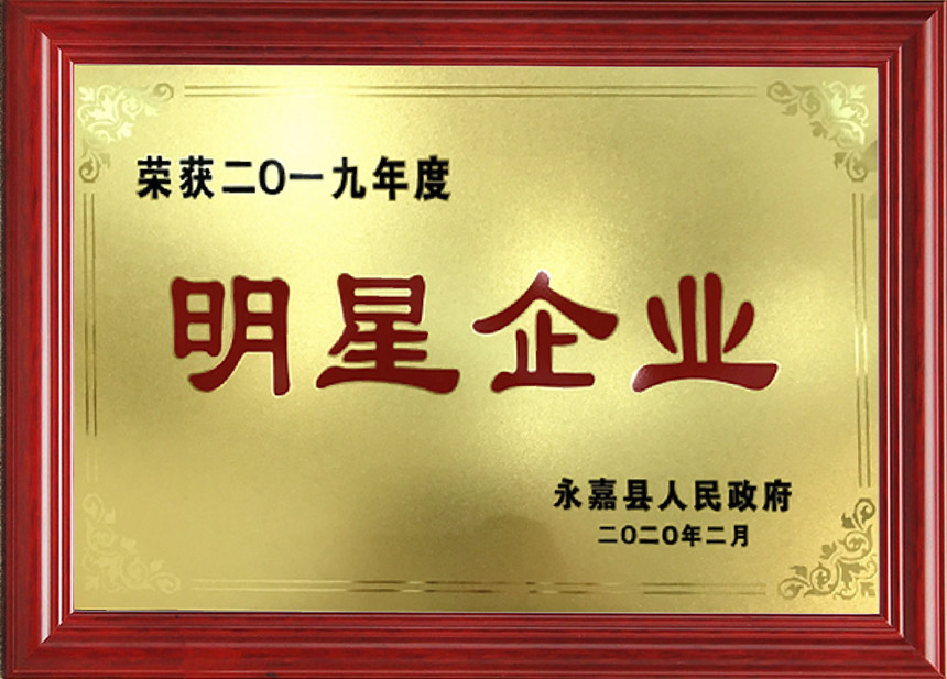 明星企业2019年度.jpg